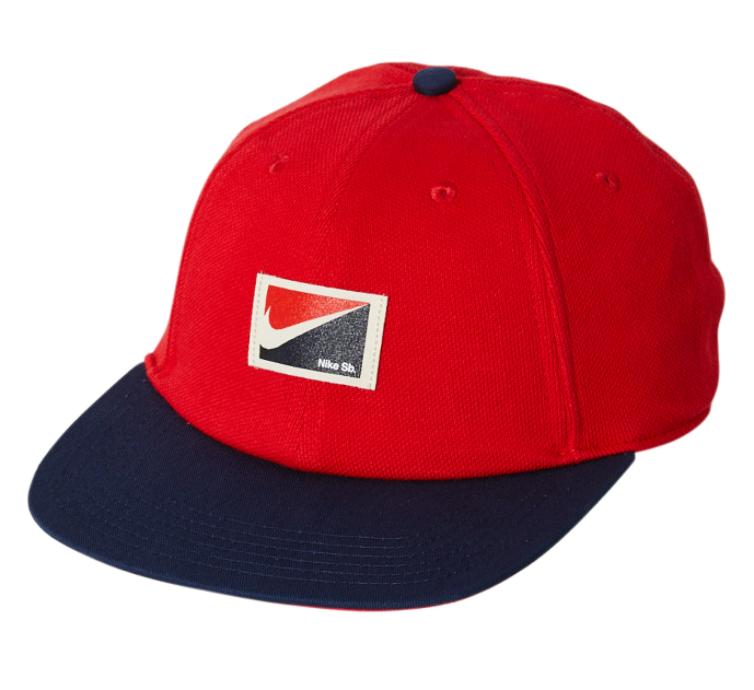 nike sb strapback