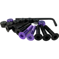 Trinity Allen Hardware Anodized 2 x Purple 1" Skateboard Deck Set of Bolts