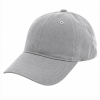 American Apparel Ultimate Dad Cap Grey