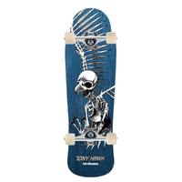 Birdhouse Full Skull Tony Hawk 9.75" Complete Skateboard