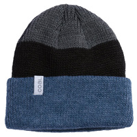 Coal The Frena Heather Slate Stripe Heavy Knit Beanie