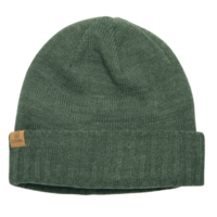 Coal The Rogers Heather Olive Beanie