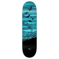 Real Set Free Spectrum 8.25" Skateboard Deck