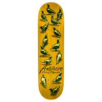 Anti Hero Dawn Pigeon Chris Pfanner 8.25" Skateboard Deck
