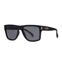 Liive Casino Polar Matte Black Sunglasses