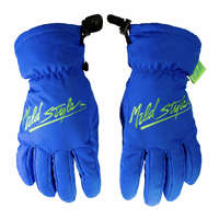Salmon Arms Mild Style Blue Snowboard Gloves