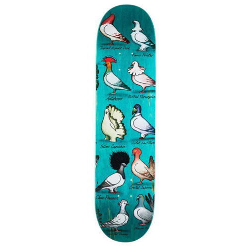 Anti Hero Show Pigeon Chris Pfanner 8.06" Skateboard Deck