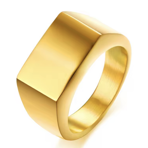 Boarders Thick Rectangle Signet Gold Platted Stainless Steel Ring