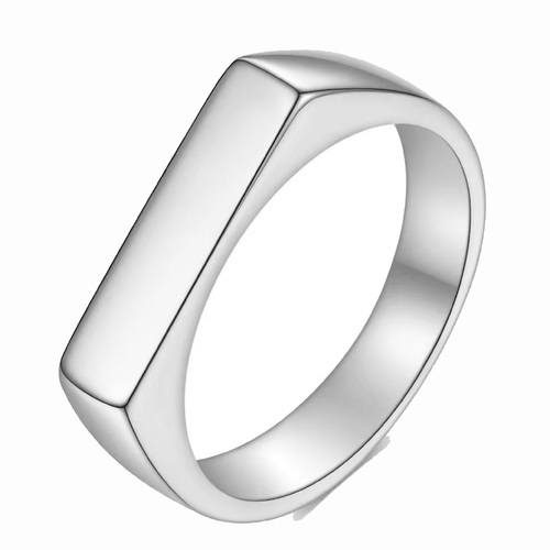 Boarders Thin Rectangle Signet Stainless Steel Ring [Size: 5]