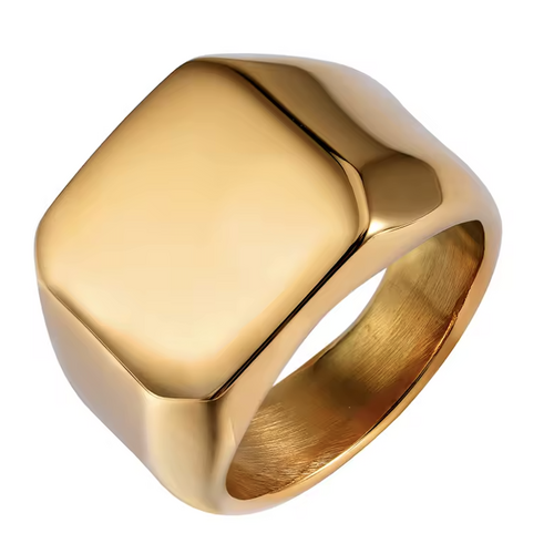 Boarders Thick Square Signet Gold Platted Stainless Steel Ring